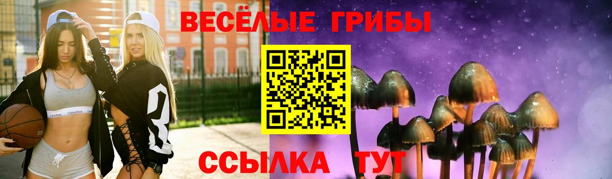 Нововоронеж  Галлюциногенные грибы Psilocybe  Вход с VPN 