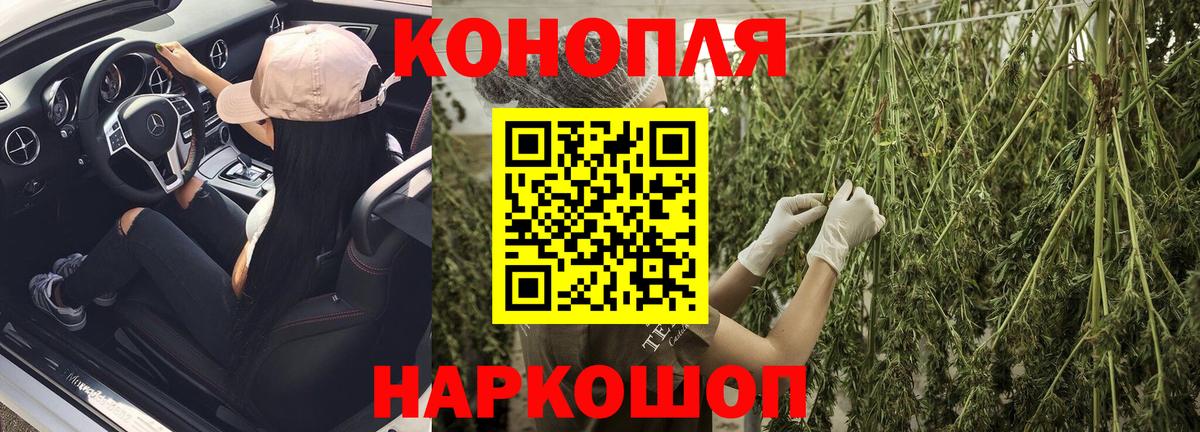 Канабис MAZAR Нововоронеж